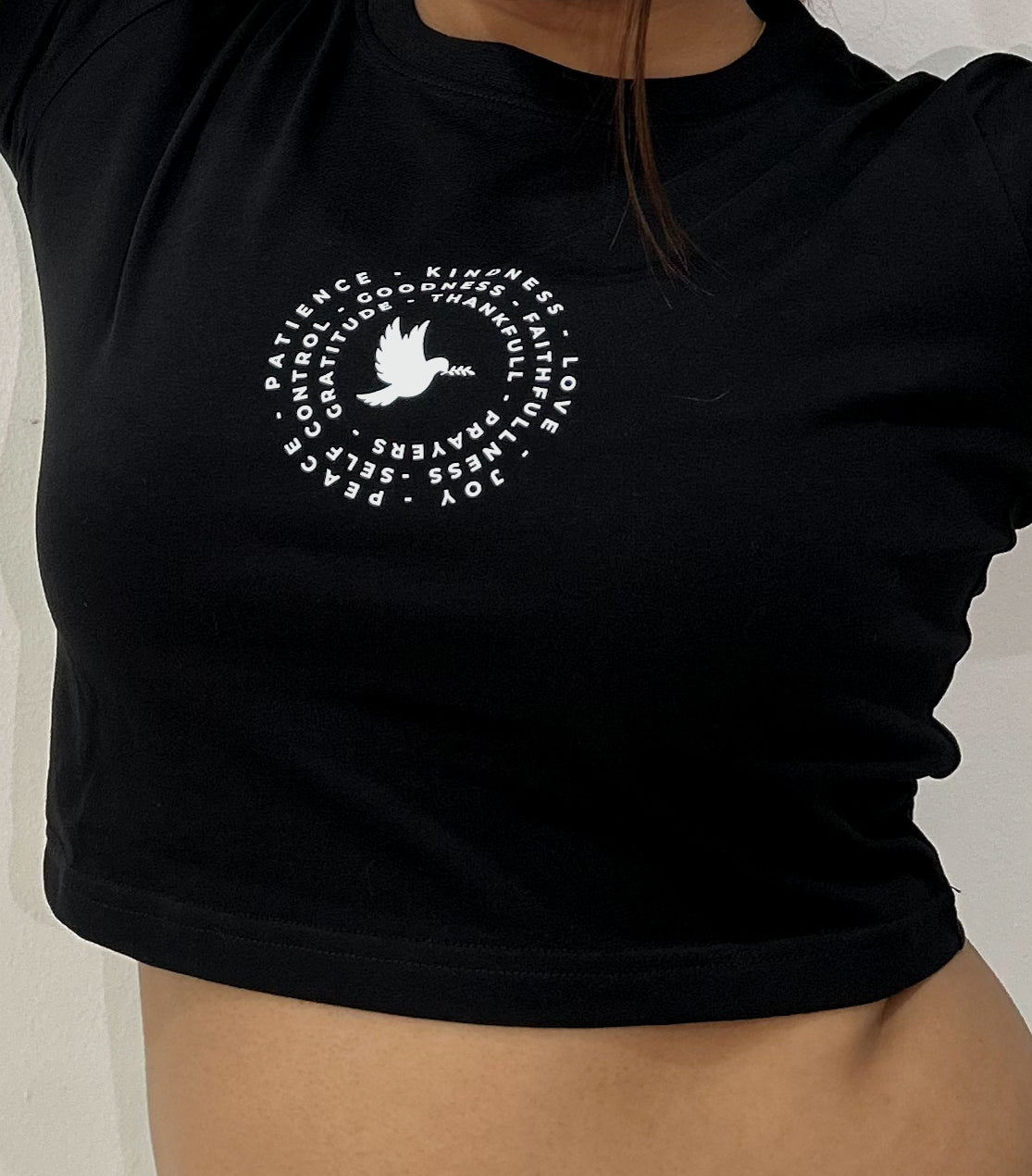 Dove Aesthetic Baby Tee