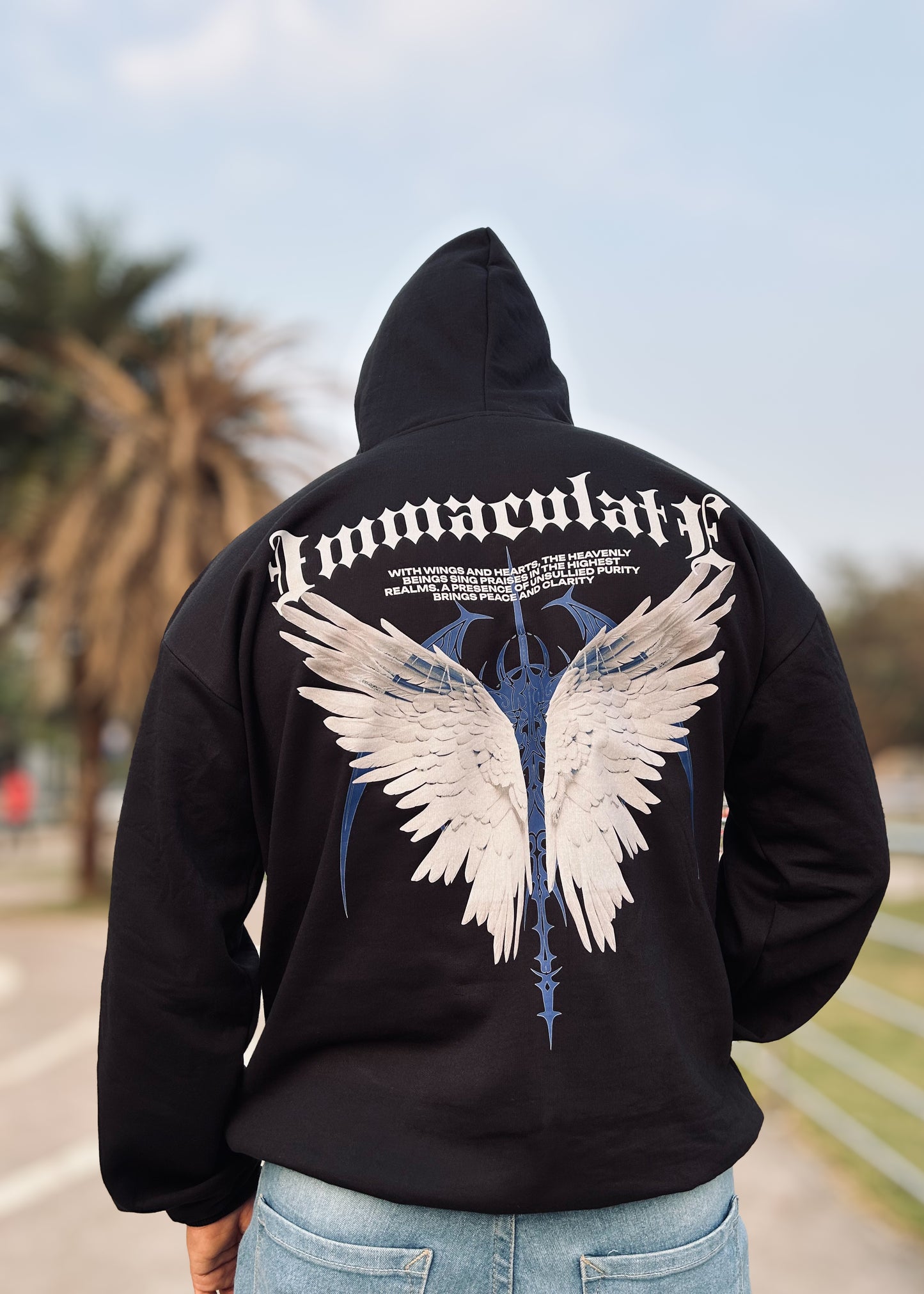 Divine Luxe Wings Oversized Hoodie
